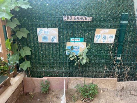Eko 2